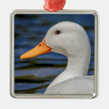 Pato mallorquín blanco