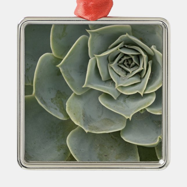 Adorno Metálico Patrón de cactus (Frente)