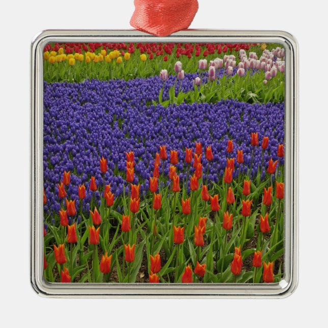 Adorno Metálico Patrón de tulipanes y flores de jacinto de uva, 2 (Frente)