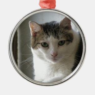 Adorno Metálico Paul