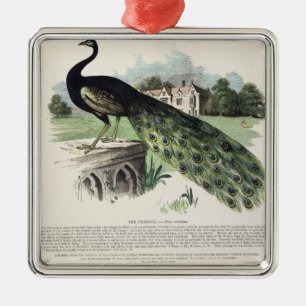 Adorno Metálico Pavo real