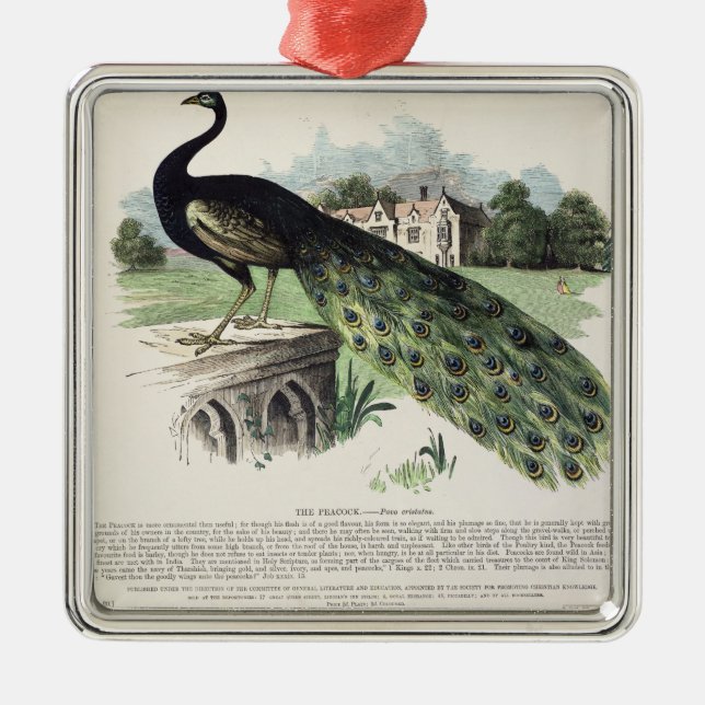 Adorno Metálico Pavo real (Frente)