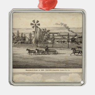 Adorno Metálico Pavo real res, cañada del sauce