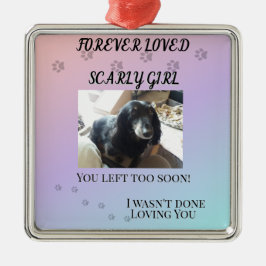 Adorno Metálico Pawprints Across the Rainbo Tribute