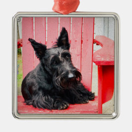 Adorno Metálico Pequeño Scottie en una Gran Silla Roja