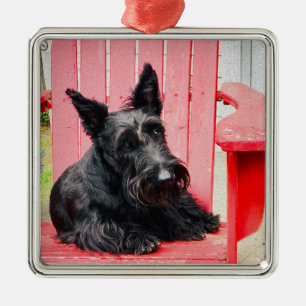 Adorno Metálico Pequeño Scottie en una Gran Silla Roja