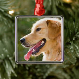 Adorno Metálico Perfil de Golden Retriever con lengua de salida