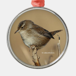 Adorno Metálico Perfil de una bella Wren de Marsh