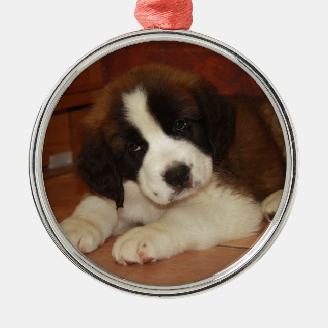 Adorno Metálico Perrito adorable y dulce de St Bernard (Frente)