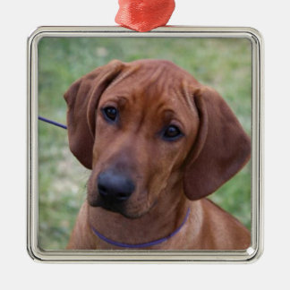 Adorno Metálico Perrito de Ridgeback