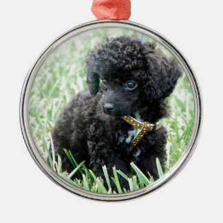 Adorno Metálico Perrito del caniche de juguete