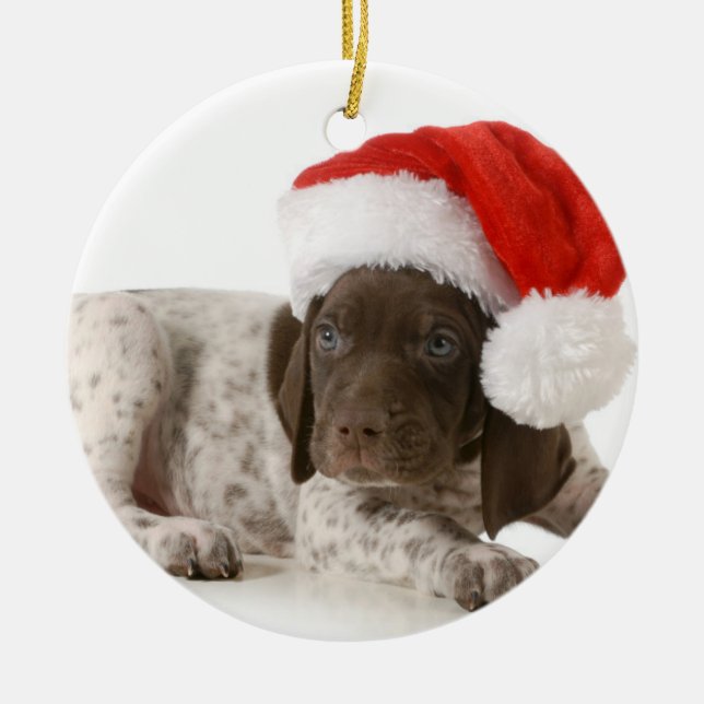 Adorno Metálico Perrito del navidad - indicador de pelo corto (Frente)