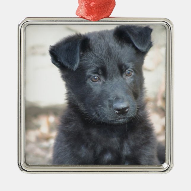Adorno Metálico Perrito negro del pastor alemán (Frente)