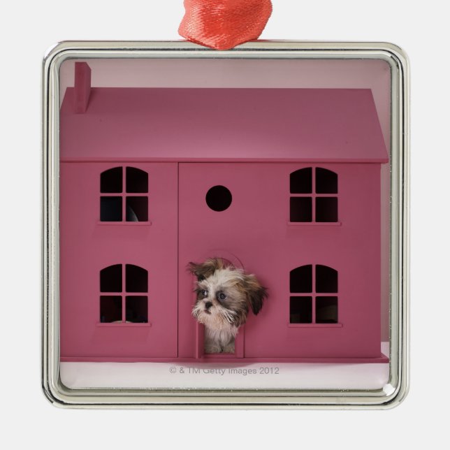 Adorno Metálico Perrito que mira fuera de la casa de muñeca (Frente)