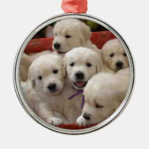 Adorno Metálico Perritos felices del golden retriever del día de