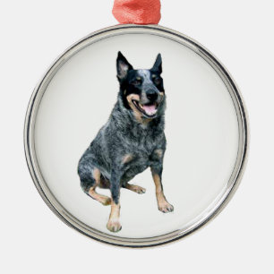 Adorno Metálico Perro Boyero Australiano (B)