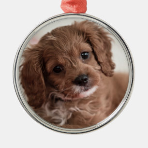 Adorno Metálico Perro cachorro de Ruby Cavapoo