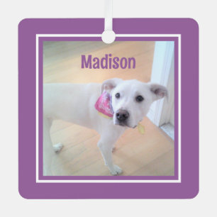 Adorno Metálico Perro de cachorro 1 foto Navidades morados y blanc