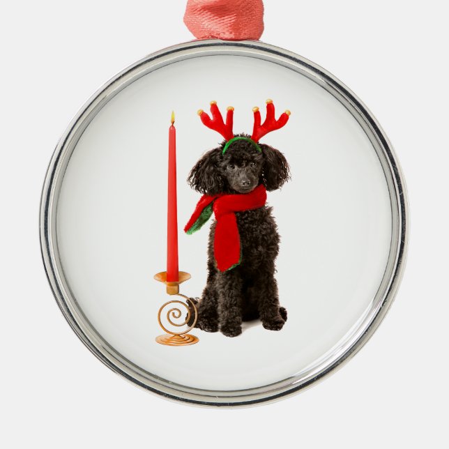 Adorno Metálico Perro de caniche negro de juguete del navidad (Frente)