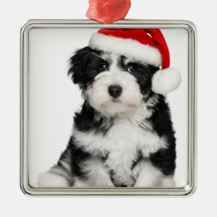 Adorno Metálico Perro de perrito de Havanese del navidad