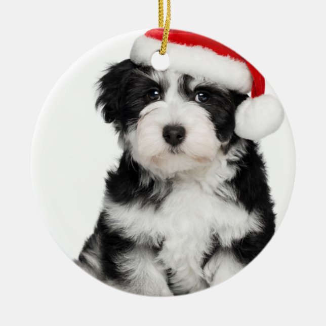 Adorno Metálico Perro de perrito de Havanese del navidad (Frente)