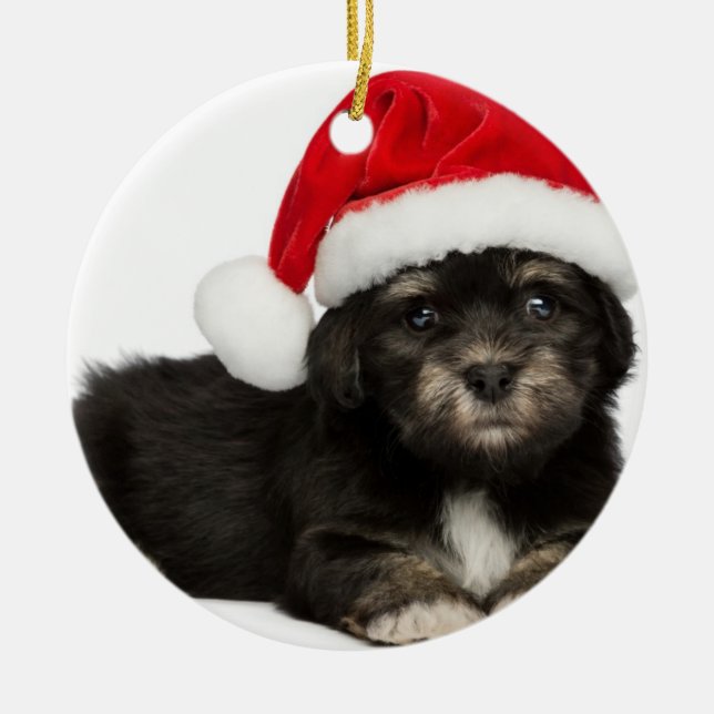 Adorno Metálico Perro de perrito lindo de Havanese del navidad (Frente)