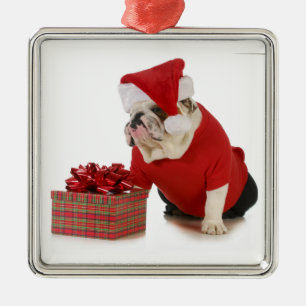 Adorno Metálico Perro de Santa - bulldog inglés vestido como Sant