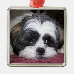 Adorno Metálico Perro de Shih Tzu