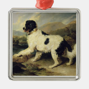Adorno Metálico Perro de Terranova llamado León, 1824 (aceite en l