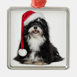 Adorno Metálico Perro divertido de Havanese del navidad con el