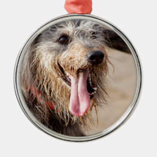 Adorno Metálico Perro feliz en la playa