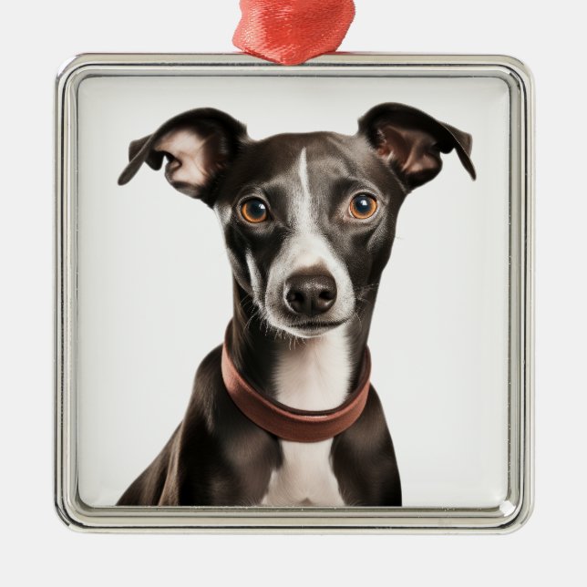ADORNO METÁLICO PERRO GREYHOUND ITALIANO NEGRO Y BLANCO (Frente)