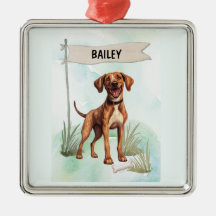 Perro Personalizado Acuarela Plott