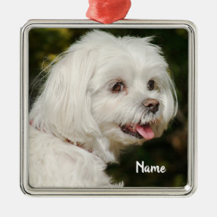Adorno Metálico Perro picante maltés blanco personalizado