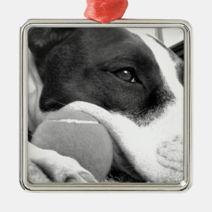 Adorno Metálico perro pitbull negro y blanco con pelota de aspecto