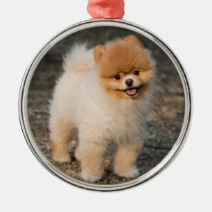 Adorno Metálico Perro portero marrón