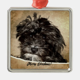 Adorno Metálico Perro Schnoodle