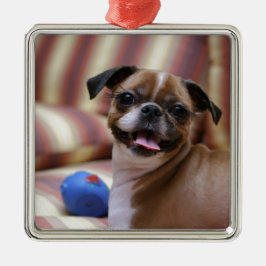 Adorno Metálico Perro súper lindo con su pelota favorita