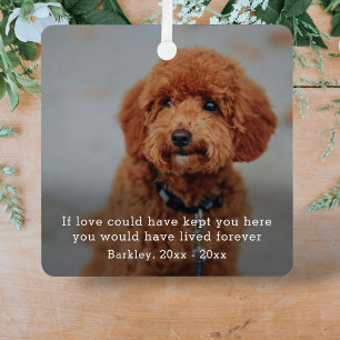 Adorno Metálico Personalizable sencillo de texto y fotografía pers