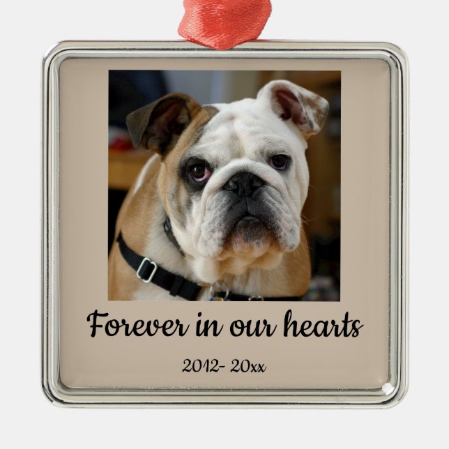 Adorno Metálico Personalizado con Foto Antiguo  Bulldog Dog En Mem (Frente)