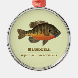 Adorno Metálico Pesca de pasto azul