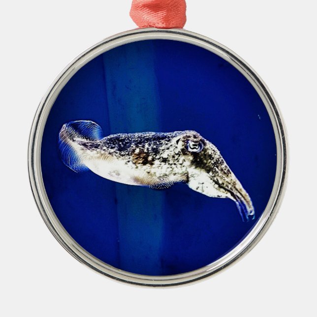 Adorno Metálico Pescado (Frente)