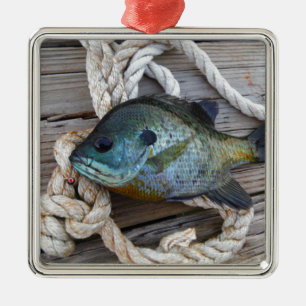 Adorno Metálico Pescado de aleta azul en el muelle y en la cuerda