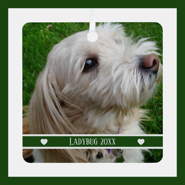 Adorno Metálico Pet Photo Ornament with Custom Name and Year (Subido por el creador)