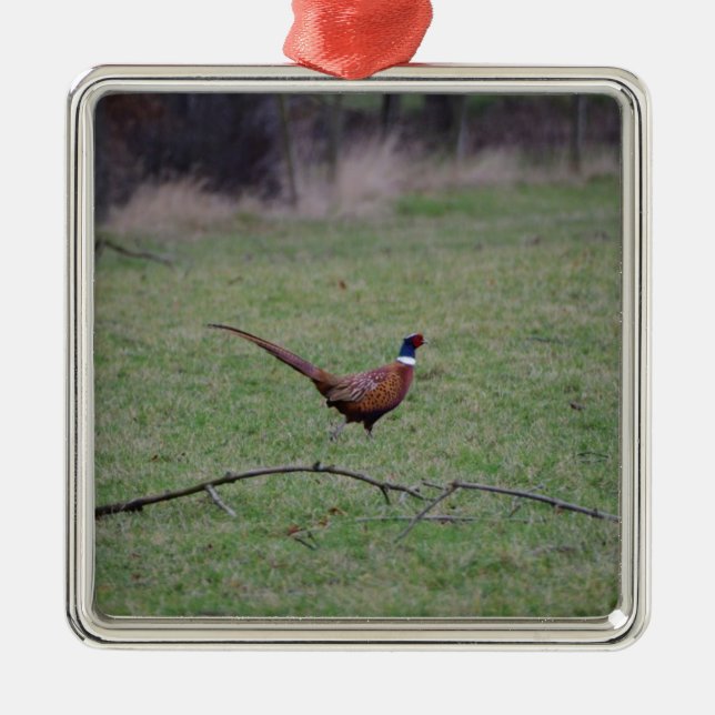 Adorno Metálico Pheasant (Frente)