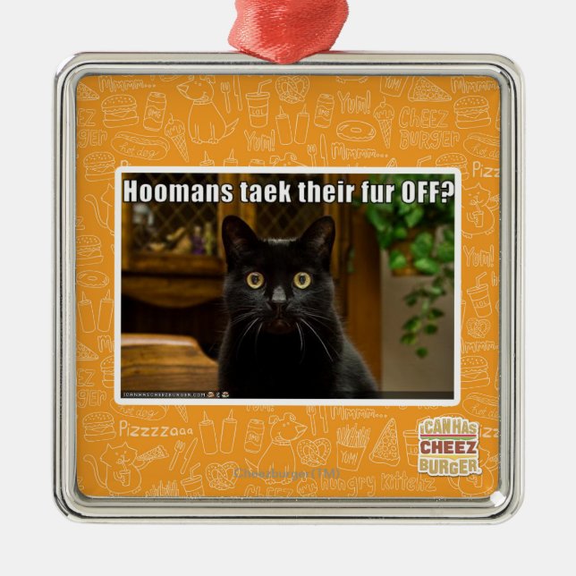 Adorno Metálico ¿Piel de Hoomans Taek allí APAGADO? (Frente)