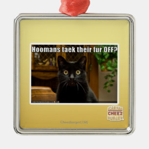 Adorno Metálico ¿Piel de Hoomans Taek allí APAGADO?