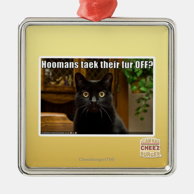 Adorno Metálico ¿Piel de Hoomans Taek allí APAGADO? (Frente)