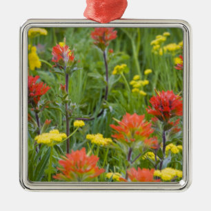 Adorno Metálico Pincel indio y flores silvestres de bizcochero