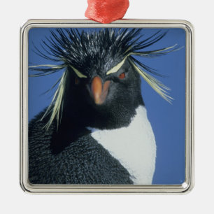Adorno Metálico Pingüino de cresta roja (Eudyptes chrysocome)